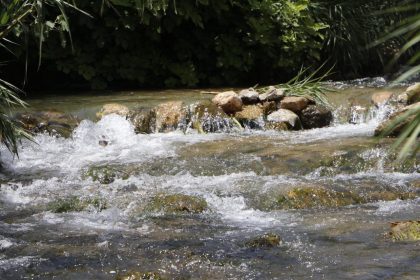 عين العوجا